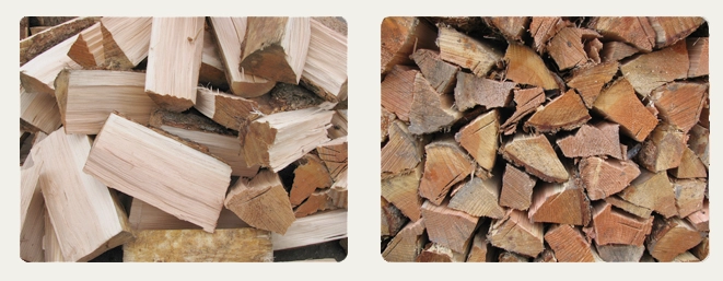 Douglas Fir