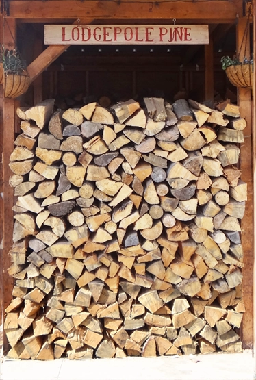 Lodgepole Pine Firewood